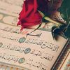 fa.fitou2