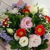 user2481065711132