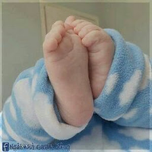 user41993529906