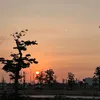 maylangthang0802