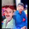 ali.gull.samon