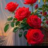 rojina.khatun353