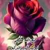 user3981613113179