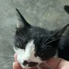 baodepzaijfjfj