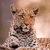 avigail_592