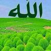 user9615942670091