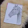 zainb4794