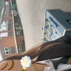 deddo_not_laila