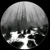 savver6