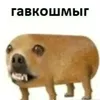 .1.0328