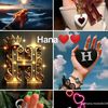 user6330217044163
