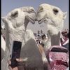 q8_a906s