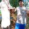 alcemarvieira3