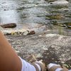 avs.mainn2