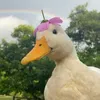 rkmcuite