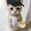 hi_itsem2