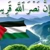 sidahmed9530