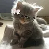 eloise7636