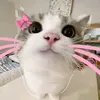 your_wen3
