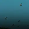 keskinbusra05