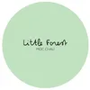 littleforestmc