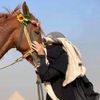 noor84656