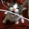 mochi.mochila8