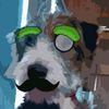dftbalygood