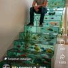tomypurba3