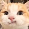 ภูมิชอบแอร์และอื่นๆ