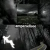 amparadise3