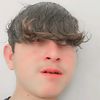 transfarmar4