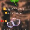 .ch.hasnain3