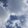 _ason__ee65