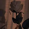 dsjdbwrsi8q