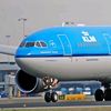 renu51517