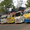 bocah.ngemparah