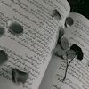 _.imamahashim._