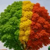 mamankadenkele
