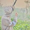 shohanurrahman531