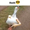 rara_777777777