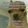 abdi.abdul810