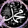 nourelhoda5685