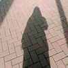cece.ly64