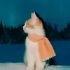 istreamgrace