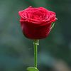 israr.khan8085
