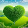 yusuf.124337