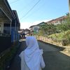 elsa.wijaya10