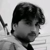 saaidsaaid230