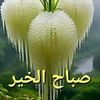bazeniar.amar